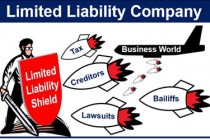 section 8 Company Benefits- Limited liability